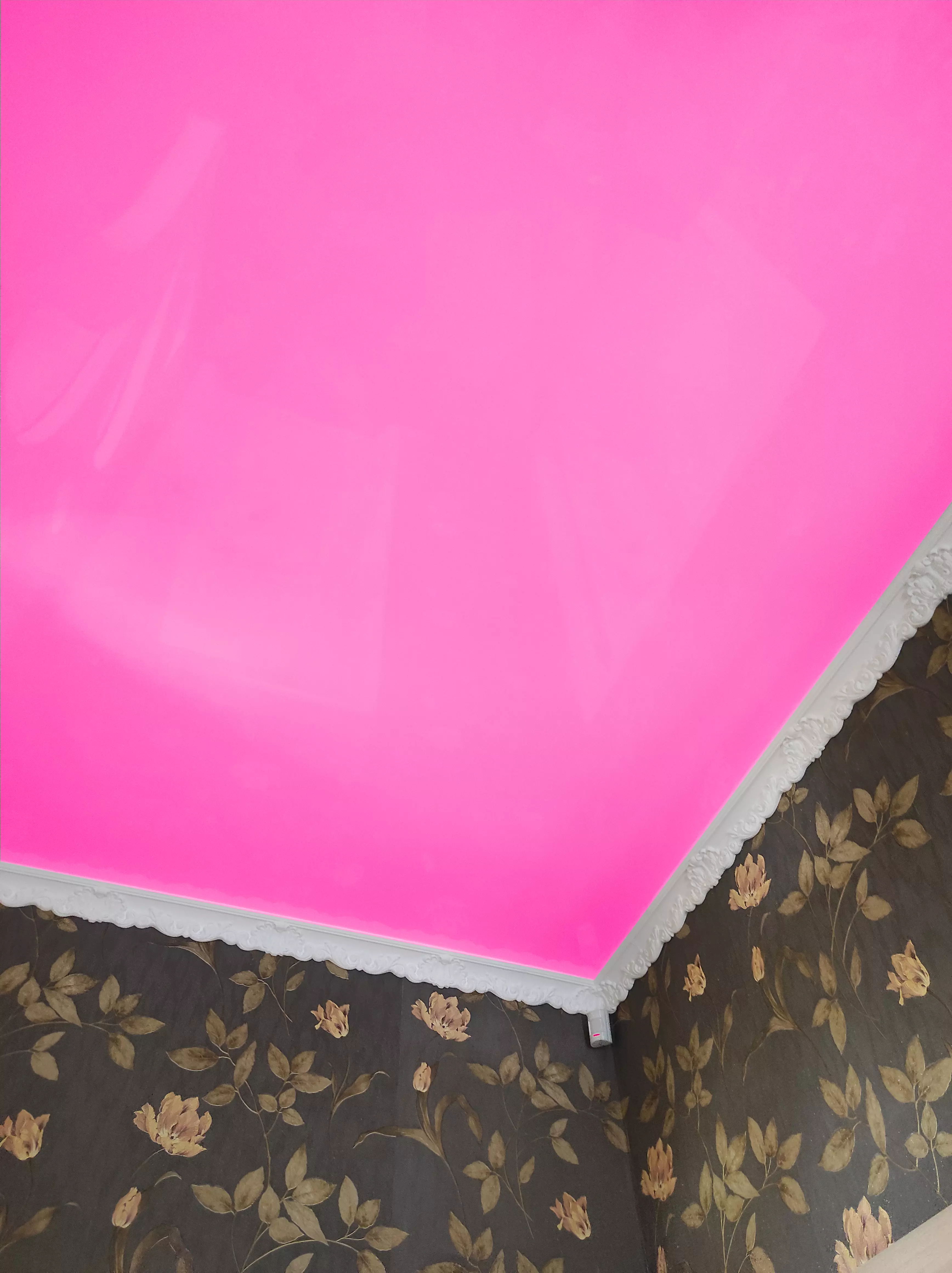 Мелитополь, проспект Дружбы народов, 20, фото 2